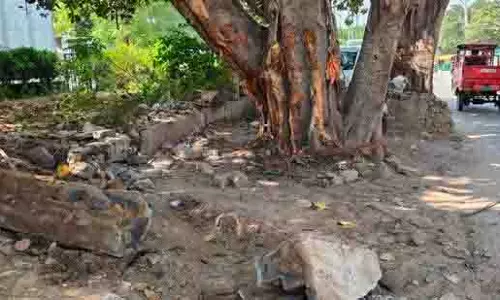 Sector 12: कार के नियंत्रण खोने से पेड़ से टकराने से 21 वर्षीय युवक की मौत
