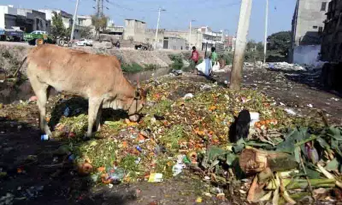 Ludhiana: खाली प्लॉटों में अवैध कचरा डंपिंग से शहर भर में स्वास्थ्य संबंधी खतरा
