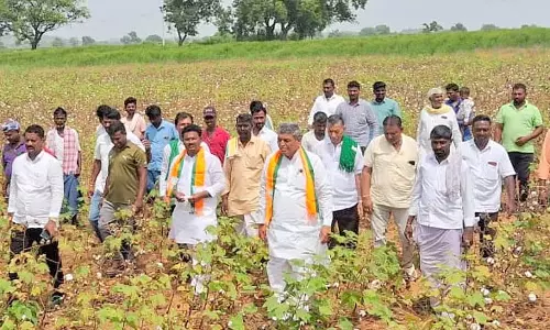 Shahpur : भाजपा टीम ने फसल क्षति वाले क्षेत्र का दौरा किया