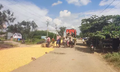 सड़क पर मक्का: यातायात बाधित सड़क पर मक्का: यातायात बाधित