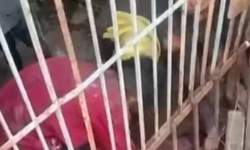 सुरंग में फंसे चोर, केबल चोरी करते रंगे हाथ दबोचे गए