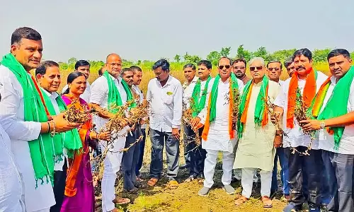BJP नेताओं ने फसल क्षति के लिए 25,000 रुपये प्रति एकड़ मुआवजे की मांग की BJP नेताओं ने फसल क्षति के लिए 25,000 रुपये प्रति एकड़ मुआवजे की मांग की