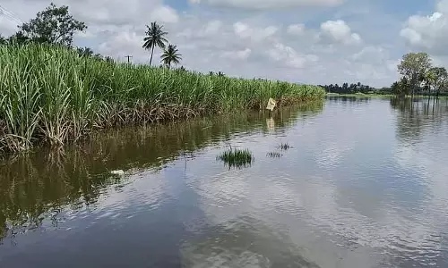 Karnataka : भारी बारिश से ज़मीन जलमग्न Karnataka : भारी बारिश से ज़मीन जलमग्न