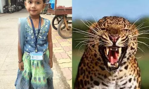 तेंदुए के हमले में पांच साल की बच्ची की मौत