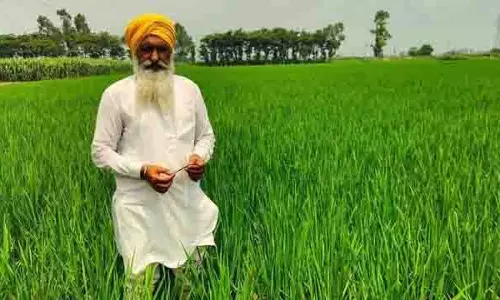Amritsar: नवोन्मेषी किसान फसल अवशेषों को मिट्टी में मिलाकर लाभ कमा रहे Amritsar: नवोन्मेषी किसान फसल अवशेषों को मिट्टी में मिलाकर लाभ कमा रहे