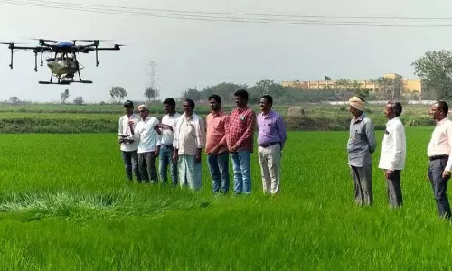 कमारेड्डी में अब तक नहीं मिला मुआवज़ा: बारिश से बर्बाद फसलें, किसानों में बढ़ी नाराज़गी कमारेड्डी में अब तक नहीं मिला मुआवज़ा: बारिश से बर्बाद फसलें, किसानों में बढ़ी नाराज़गी
