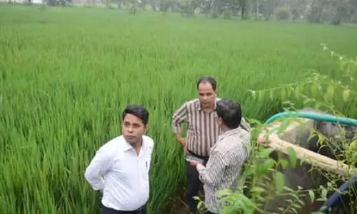 कलेक्टर ने धरसीवां क्षेत्र में गिरदावरी एवं दावा-आपत्ति निराकरण कार्य का किया निरीक्षण