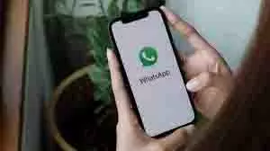 WhatsApp: इन तरीकों से डिलीट हुई चैट करें रिकवर WhatsApp: इन तरीकों से डिलीट हुई चैट करें रिकवर