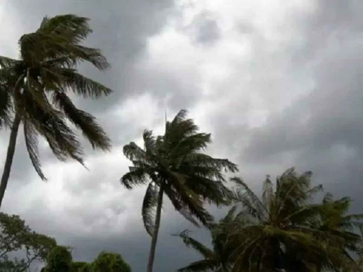 Kerala: अगले 24 घंटे में तूफानी हालात, राज्य में हाई अलर्ट: IMD Kerala: अगले 24 घंटे में तूफानी हालात, राज्य में हाई अलर्ट: IMD