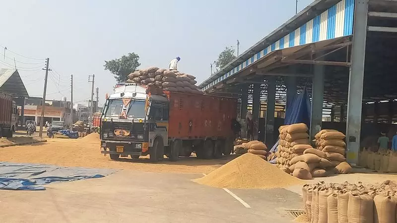 Yamunanagar जिले की अनाज मंडियों से 70.57% धान का उठान हुआ Yamunanagar जिले की अनाज मंडियों से 70.57% धान का उठान हुआ