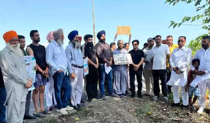 Jalandhar: पेड़ों की कटाई, भूस्वामी 1.000 विकसित पेड़ लगाने को तैयार Jalandhar: पेड़ों की कटाई, भूस्वामी 1.000 विकसित पेड़ लगाने को तैयार