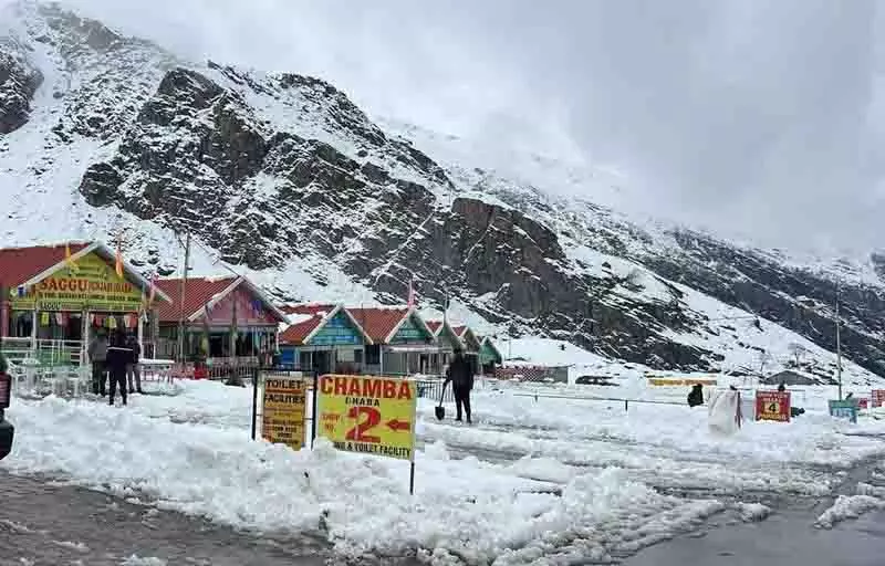 Sissu, कोकसर सफेद रंग में लिपटे, पर्यटन हितधारक उत्साहित Sissu, कोकसर सफेद रंग में लिपटे, पर्यटन हितधारक उत्साहित