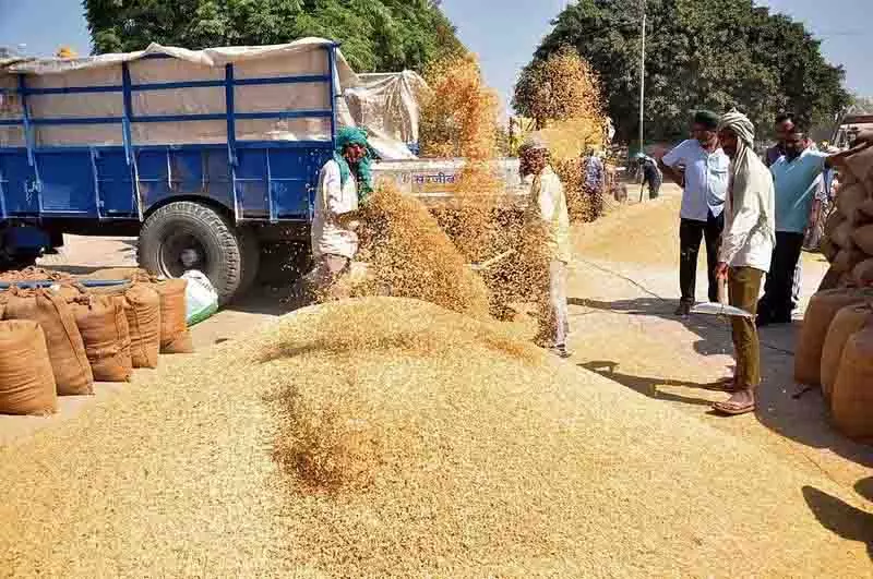 Ludhiana: पनग्रेन प्रमुख ने धान खरीद की समीक्षा की Ludhiana: पनग्रेन प्रमुख ने धान खरीद की समीक्षा की