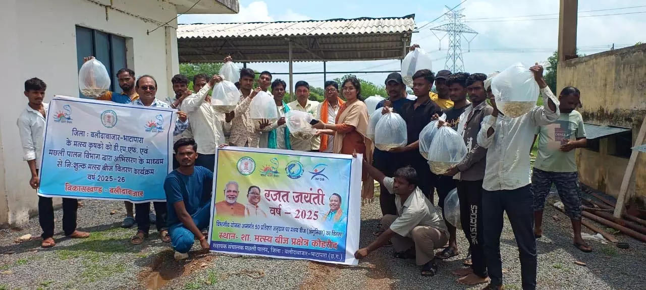 734 मत्स्य कृषकों को शतप्रतिशत अनुदान में फिंगरलिंग का वितरण 734 मत्स्य कृषकों को शतप्रतिशत अनुदान में फिंगरलिंग का वितरण