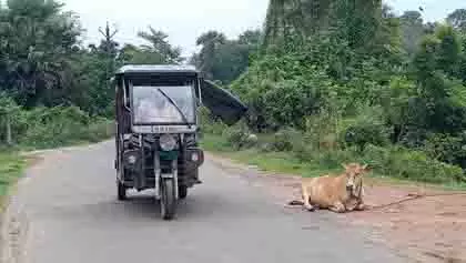 Bengal: नादिया में लोगों को प्रधानमंत्री ग्राम सड़क योजना से लाभ Bengal: नादिया में लोगों को प्रधानमंत्री ग्राम सड़क योजना से लाभ