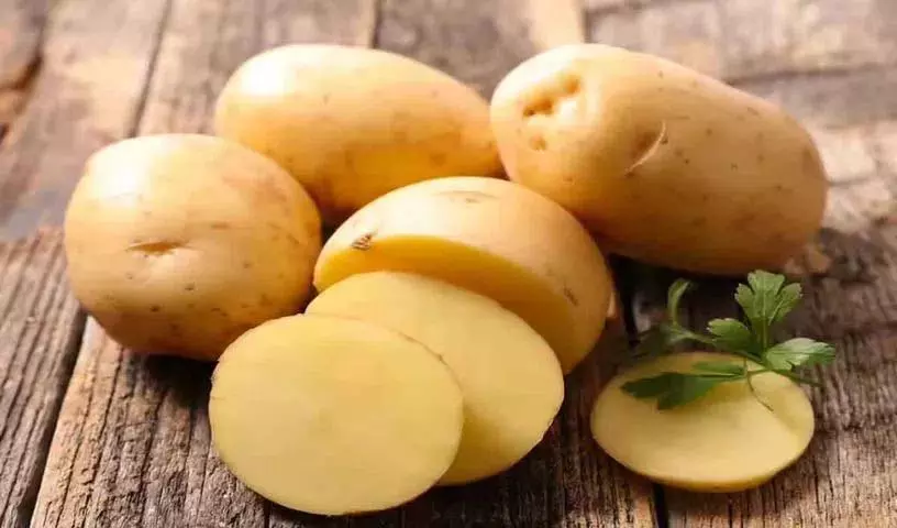 आलू खाने के असली फायदे क्या हैं? किसे नहीं खाना चाहिए? आलू खाने के असली फायदे क्या हैं? किसे नहीं खाना चाहिए?