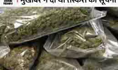MP News: पुलिस की बड़ी कार्रवाई, बाइक सवार से 2 किलो गांजा बरामद MP News: पुलिस की बड़ी कार्रवाई, बाइक सवार से 2 किलो गांजा बरामद