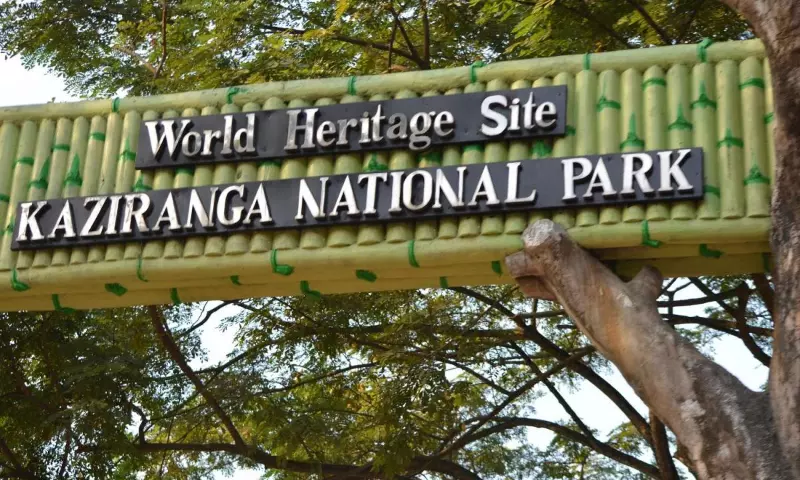 Assam: काजीरंगा ने IUCN 2025 आउटलुक में कुछ चिंताओं के साथ अच्छा रेटिंग बरकरार रखी