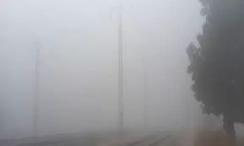 Jaipur: सर्दी ने दिखाई ताकत, गुलाबी सर्दी में पारा नीचे 20°C