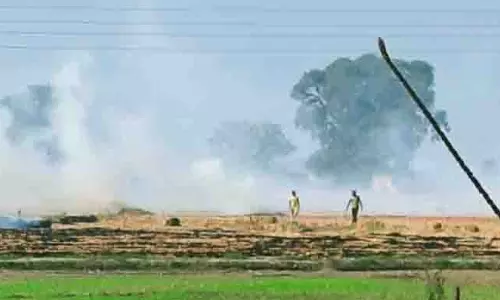 Punjab में खेतों में आग लगने की 10 नई घटनाएं, कुल संख्या 126 Punjab में खेतों में आग लगने की 10 नई घटनाएं, कुल संख्या 126