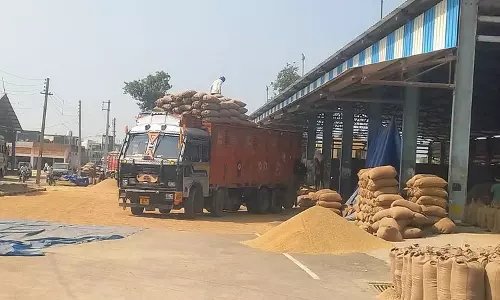 Yamunanagar  जिले की अनाज मंडियों से 70.57% धान का उठान हुआ