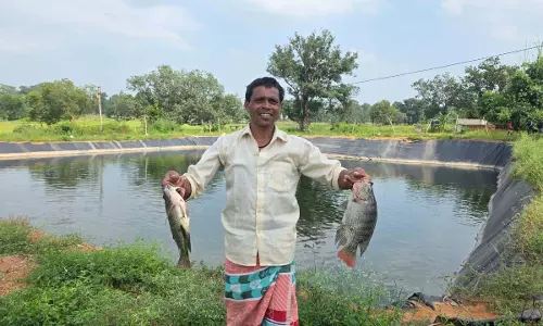 ग्रामीण अंचलों में मत्स्य पालन से आजीविका एवं आत्मनिर्भरता के खुल रहे नए अवसर