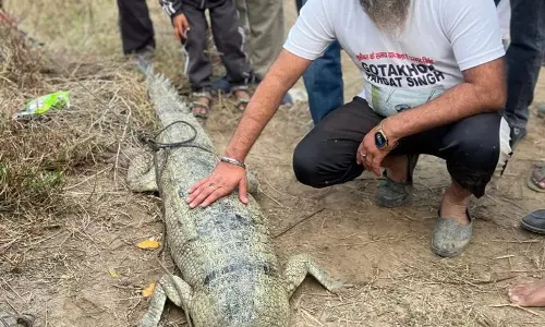 Haryana : नहर में अपने दादा को खोने के बाद परगट दूसरों के लिए मसीहा बन गए Haryana : नहर में अपने दादा को खोने के बाद परगट दूसरों के लिए मसीहा बन गए