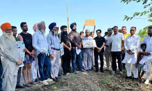 Jalandhar: पेड़ों की कटाई, भूस्वामी 1.000 विकसित पेड़ लगाने को तैयार Jalandhar: पेड़ों की कटाई, भूस्वामी 1.000 विकसित पेड़ लगाने को तैयार
