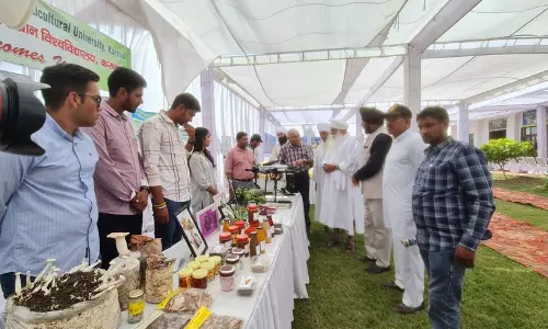 Haryana : किसान मेले में किसानों को नई उच्च उपज वाली किस्मों से परिचित कराया गया