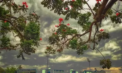 ओडिशा से मानसून की वापसी शुरू: IMD