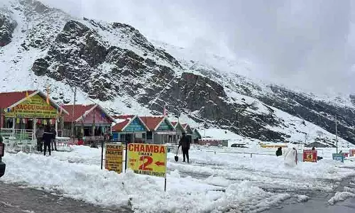 Sissu, कोकसर सफेद रंग में लिपटे, पर्यटन हितधारक उत्साहित