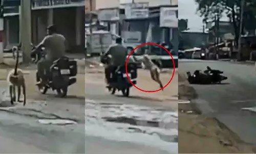Jharkhand: लंगूर ने बाइक सवार पर हमला किया, चलती बाइक पर लात मारी Jharkhand: लंगूर ने बाइक सवार पर हमला किया, चलती बाइक पर लात मारी