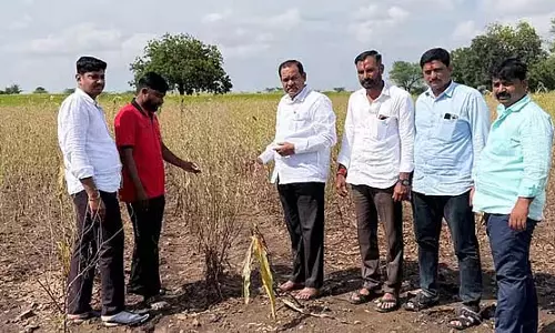 फसल क्षति: सर्वेक्षण कराने और मुआवजा देने की मांग