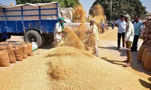 Ludhiana: पनग्रेन प्रमुख ने धान खरीद की समीक्षा की