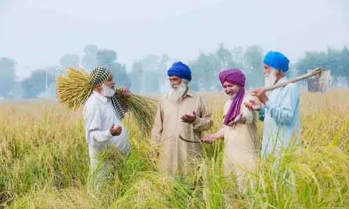 Ludhiana: निवासियों ने सर्दियों का स्वागत किया, कृषि विशेषज्ञों ने कहा मौसम फसलों के लिए आदर्श Ludhiana: निवासियों ने सर्दियों का स्वागत किया, कृषि विशेषज्ञों ने कहा मौसम फसलों के लिए आदर्श