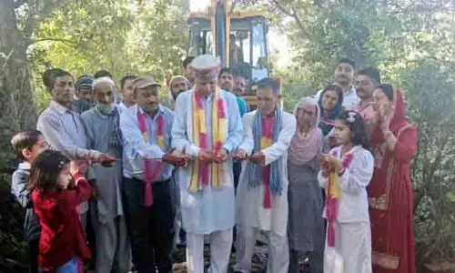 DDC अध्यक्ष ने सड़क निर्माण कार्य का उद्घाटन किया