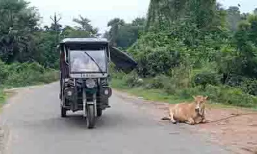 Bengal: नादिया में लोगों को प्रधानमंत्री ग्राम सड़क योजना से लाभ Bengal: नादिया में लोगों को प्रधानमंत्री ग्राम सड़क योजना से लाभ