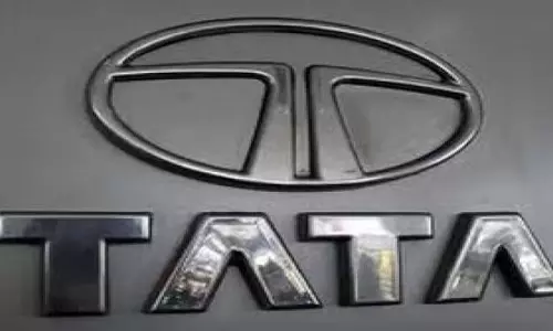 Tata International को 800 करोड़ रुपये के बॉन्ड रिडेम्पशन का सामना करना पड़ रहा है, जिससे लागत बढ़ने का खतरा