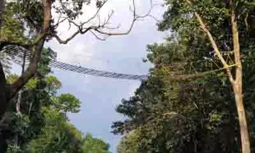 दार्जिलिंग में जंगलों की कटाई पर केंद्र की आपत्ति, राज्य ने नहीं दिया जवाब दार्जिलिंग में जंगलों की कटाई पर केंद्र की आपत्ति, राज्य ने नहीं दिया जवाब