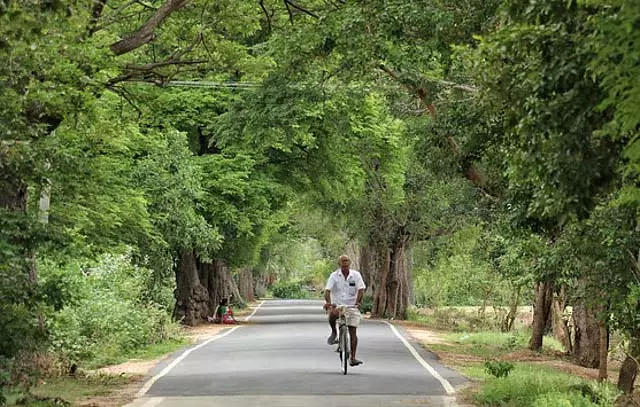 5,000 करोड़ का बैंक निवेश : दुनिया का सबसे अमीर गाँव भारत में है 5,000 करोड़ का बैंक निवेश : दुनिया का सबसे अमीर गाँव भारत में है