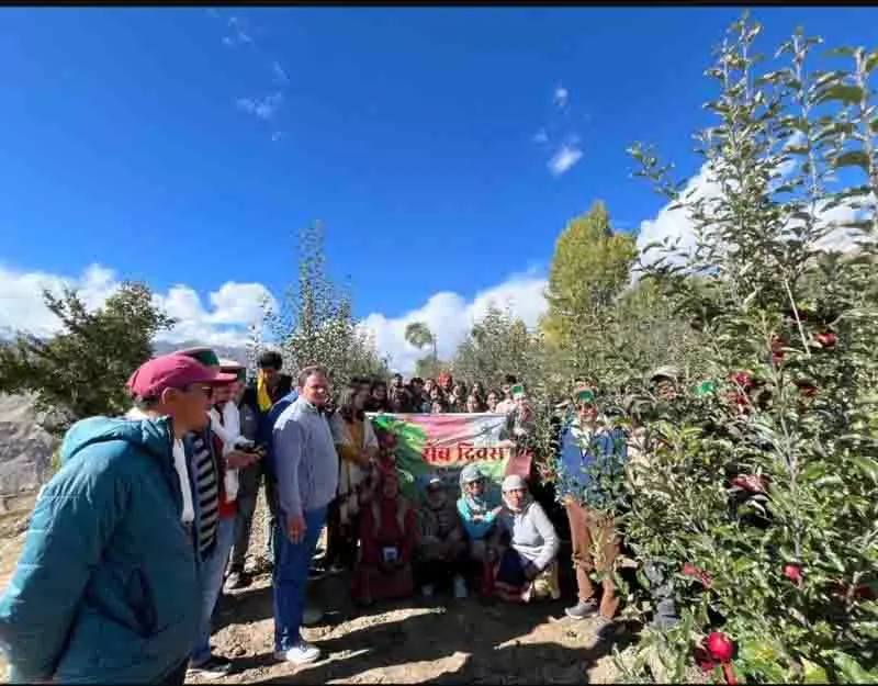 Kinnaur में ऊंचाई पर स्थित बाग हिमालयी बागवानी को नई परिभाषा दे रहे Kinnaur में ऊंचाई पर स्थित बाग हिमालयी बागवानी को नई परिभाषा दे रहे