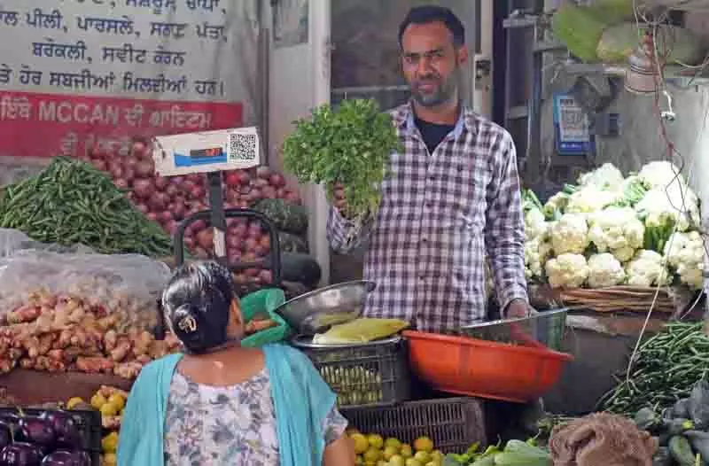 Ludhiana: धनिया की आसमान छूती कीमतों से विक्रेता और उपभोक्ता परेशान Ludhiana: धनिया की आसमान छूती कीमतों से विक्रेता और उपभोक्ता परेशान