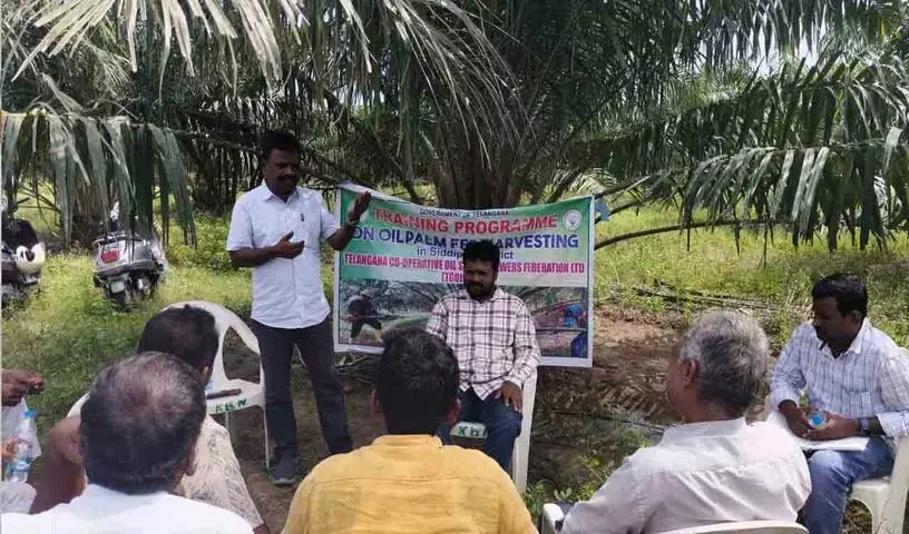 पाम तेल की खेती पर किसानों के लिए जागरूकता संगोष्ठी पाम तेल की खेती पर किसानों के लिए जागरूकता संगोष्ठी
