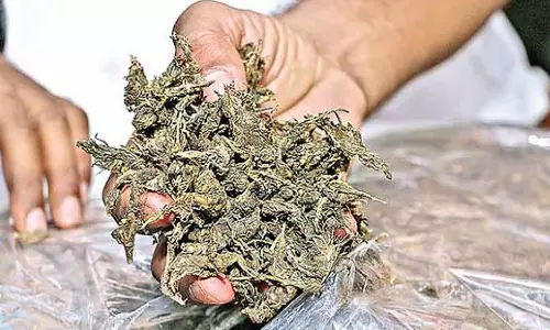 एंटी-नारकोटिक्स सेल ने CBD बेलापुर में ₹1.31 लाख का 1.3 किलोग्राम गांजा जब्त किया एंटी-नारकोटिक्स सेल ने CBD बेलापुर में ₹1.31 लाख का 1.3 किलोग्राम गांजा जब्त किया