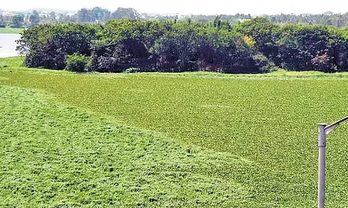 हेब्बल झील नहर मार्ग परिवर्तन अवास्तविक: विशेषज्ञ पैनल की चिंता
