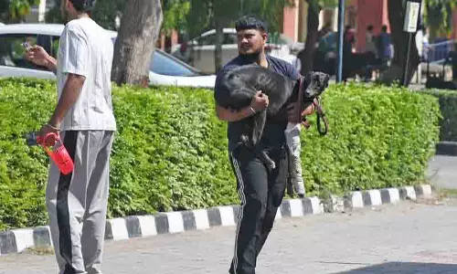पशु चिकित्सा छात्रों का विरोध प्रदर्शन जारी, OPD सेवाएं स्थगित