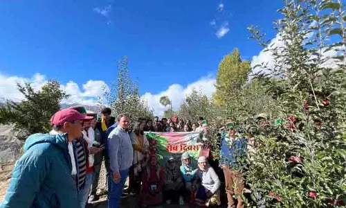 Kinnaur में ऊंचाई पर स्थित बाग हिमालयी बागवानी को नई परिभाषा दे रहे Kinnaur में ऊंचाई पर स्थित बाग हिमालयी बागवानी को नई परिभाषा दे रहे