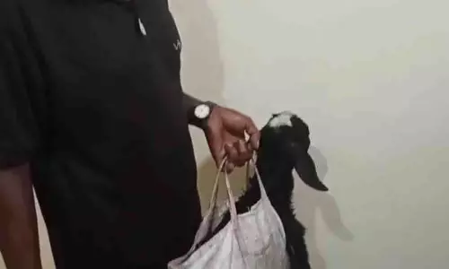 Odisha का किसान कलेक्टर की सुनवाई में बकरी लेकर आया, मदद मांगी