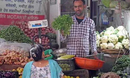 Ludhiana: धनिया की आसमान छूती कीमतों से विक्रेता और उपभोक्ता परेशान Ludhiana: धनिया की आसमान छूती कीमतों से विक्रेता और उपभोक्ता परेशान