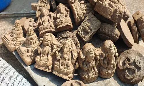सात्विक दीपावली किट सांसद दंपत्ति की पहल